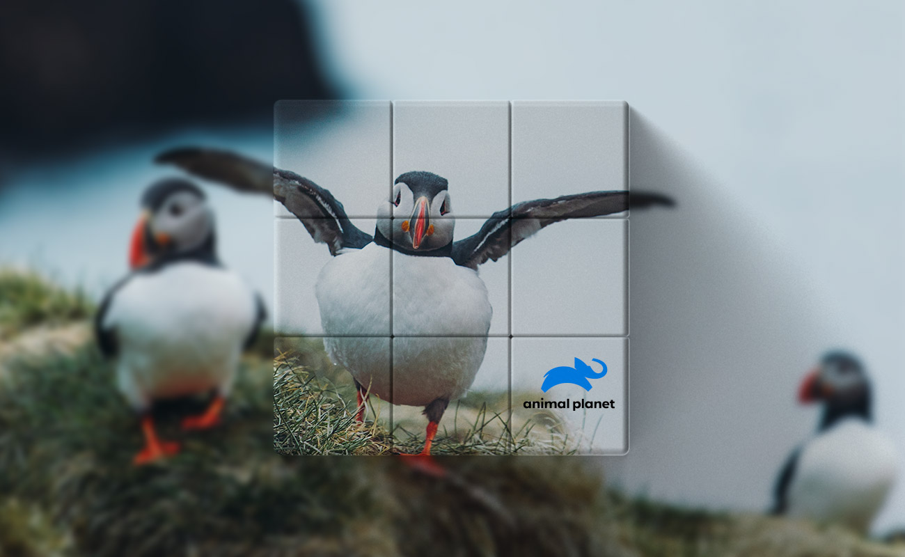 Blox - Cubos Mágicos promocionais personalizados gallery thumbnail