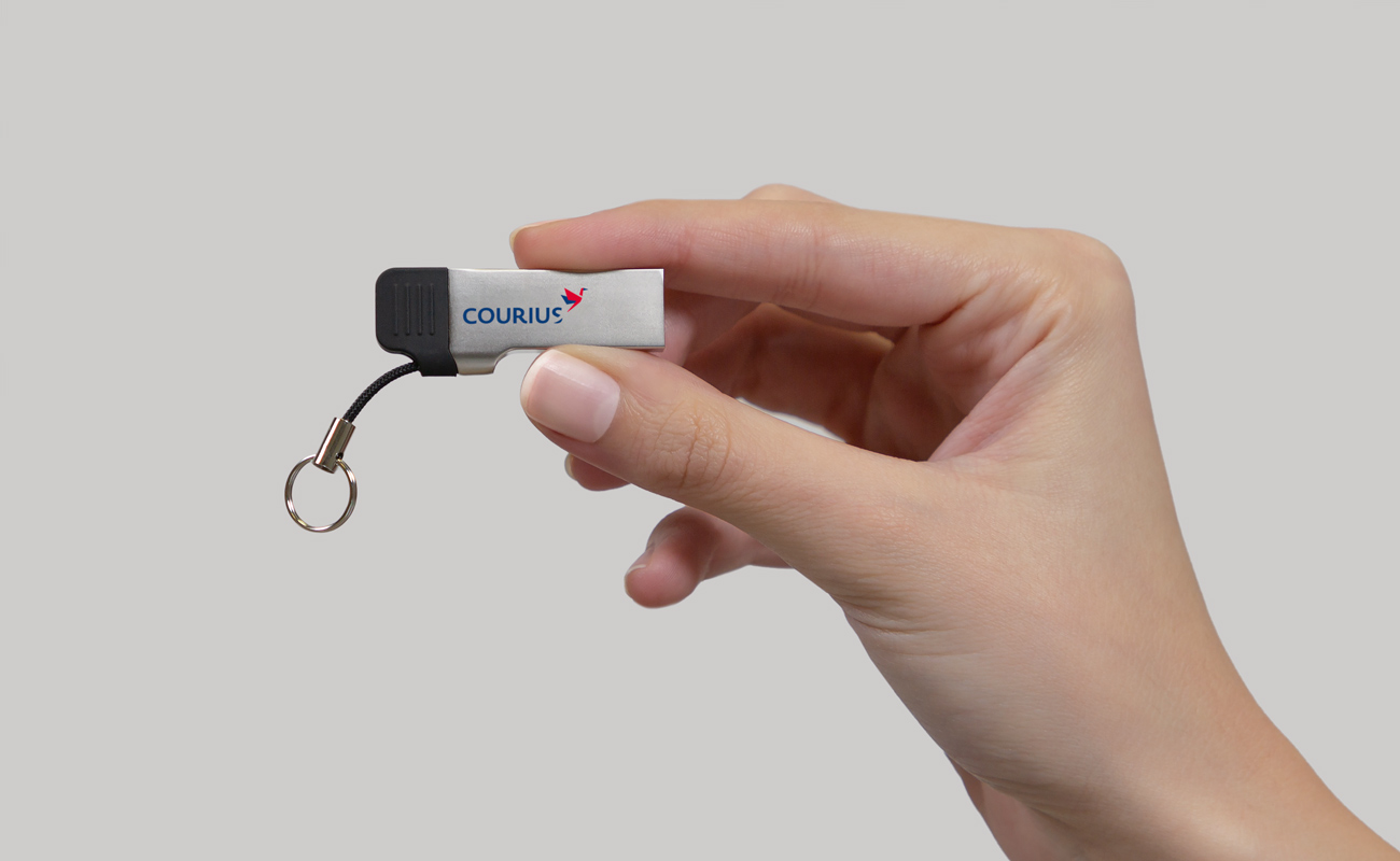 Lynx - Pen Drive USB-C Personalizada gallery thumbnail