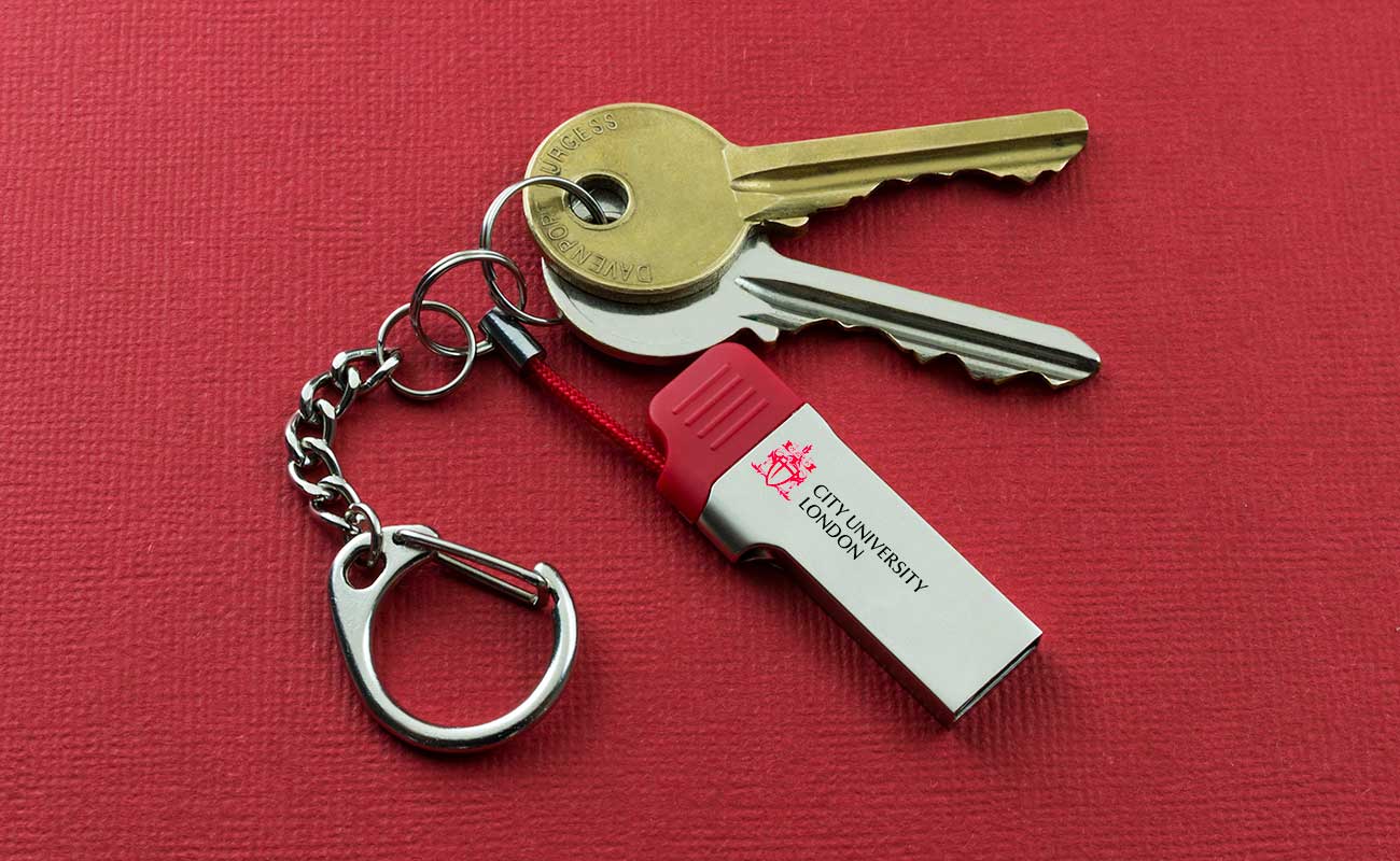 Lynx - Pen Drives USB-C Personalizados gallery thumbnail